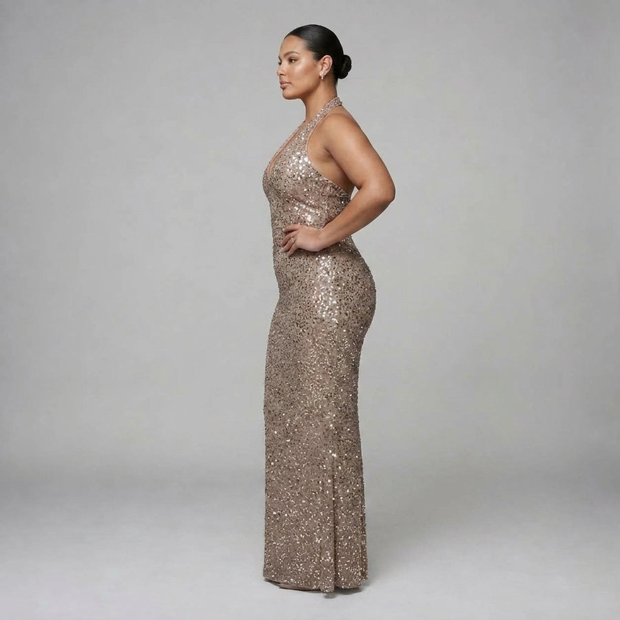 Sirea | Sequin Sheer Panel Midi Dress