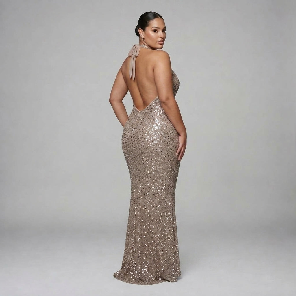 Sirea | Sequin Sheer Panel Midi Dress