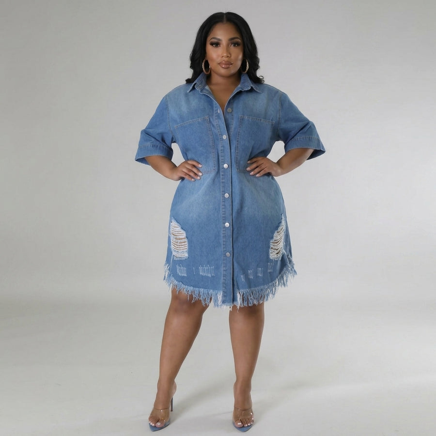 Scarlett | Button-Front Denim Dress