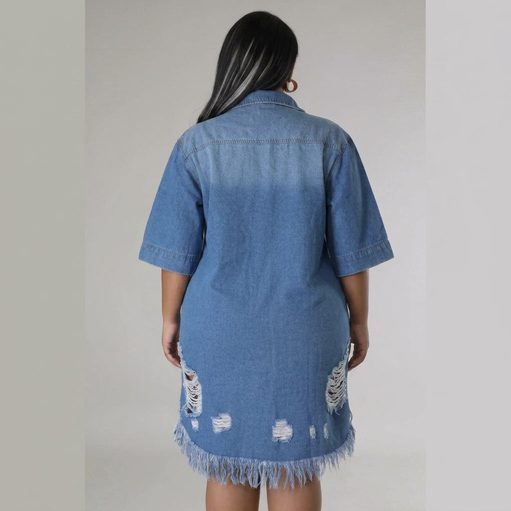 Scarlett | Button-Front Denim Dress