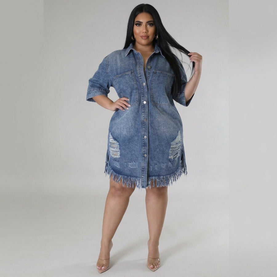 Scarlett | Button-Front Denim Dress