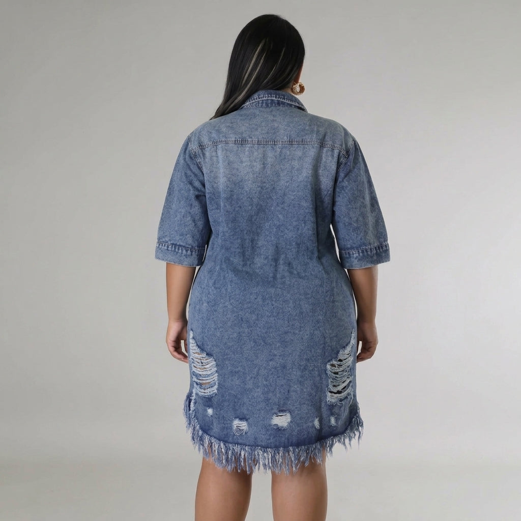 Scarlett | Button-Front Denim Dress