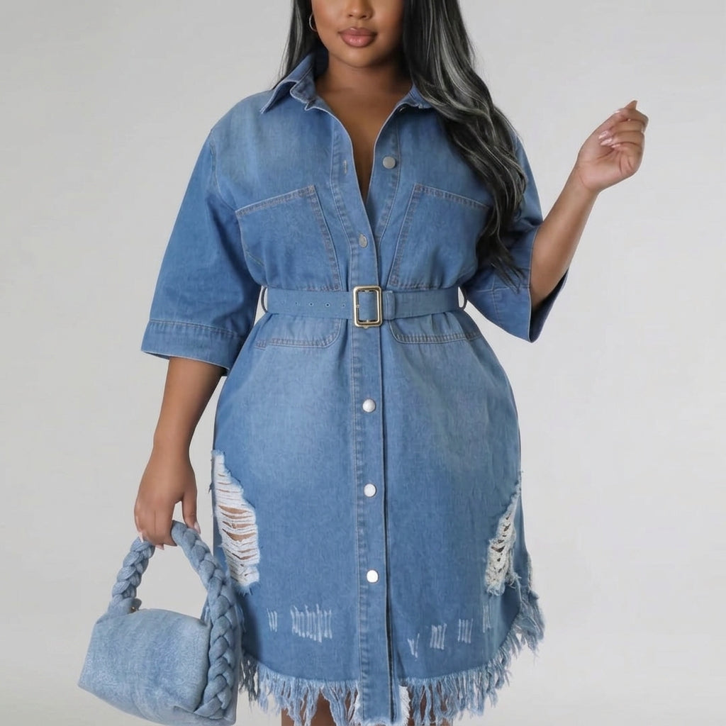 Scarlett | Button-Front Denim Dress